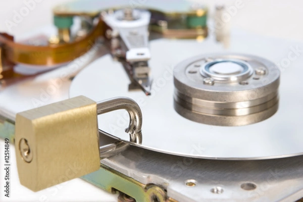 Obraz Data protection