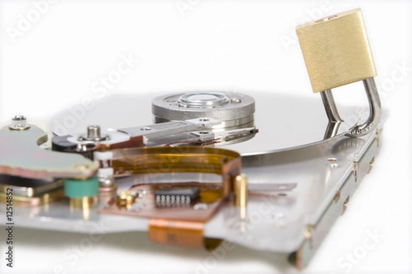 Obraz Data protection