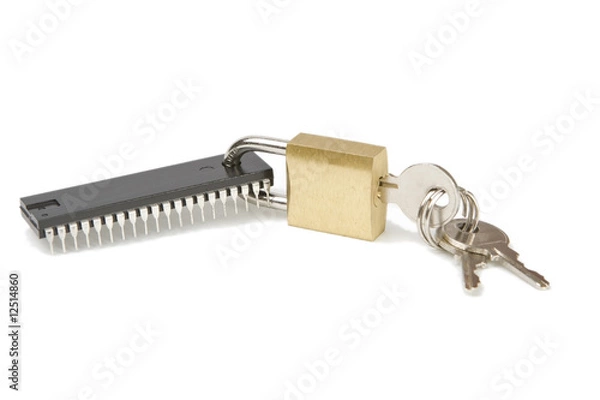 Obraz Chip with loock