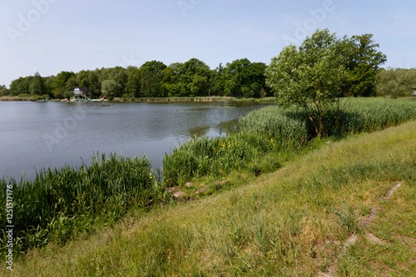 Obraz Jezioro Paprocany, Tychy