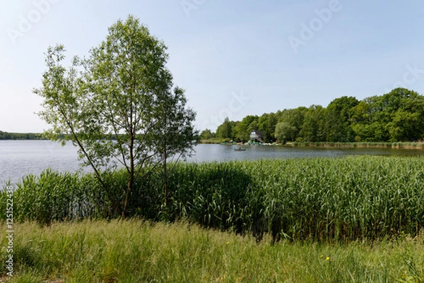Obraz Jezioro Paprocany, Tychy