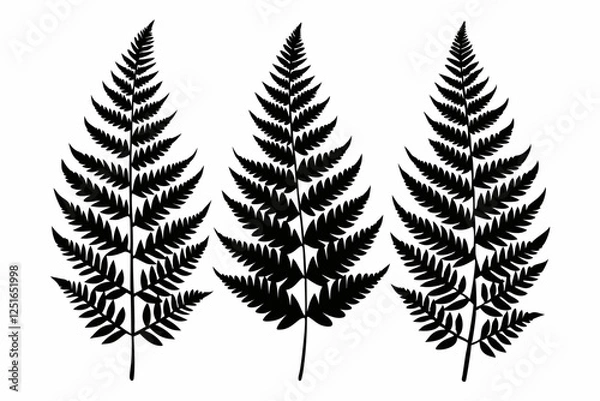 Fototapeta 3 fern leaf line art silhouette vector illustration