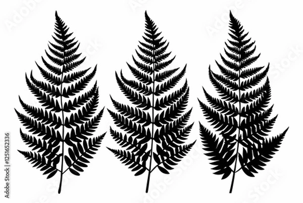 Fototapeta 3 fern leaf line art silhouette vector illustration