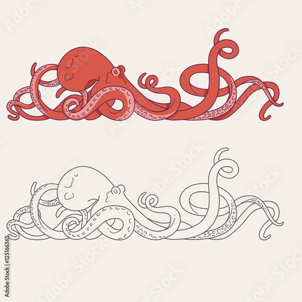 Fototapeta Octopus tentacles