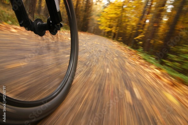 Obraz Bicycle riding, low angle motion blur