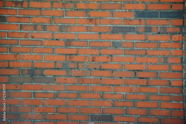 Obraz Brick wall