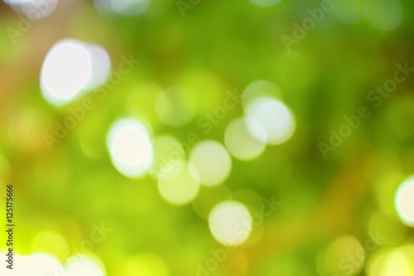 Obraz Bokeh natural color background. Color Warm Filter 