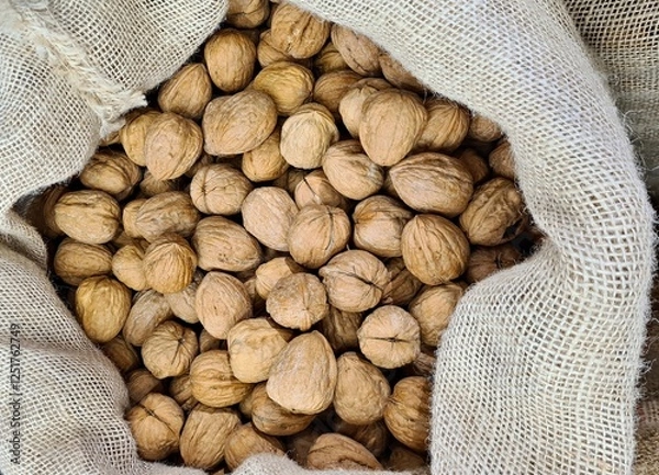 Obraz The ripened in-shell nuts are filled into large bags for sale at the city market