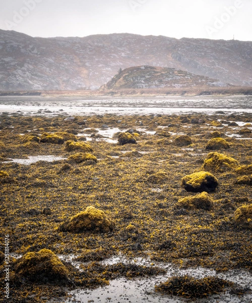 Fototapeta Low tide at Badnabay on the shore of Loch Laxford and at the NC500 in north-west Scotland.