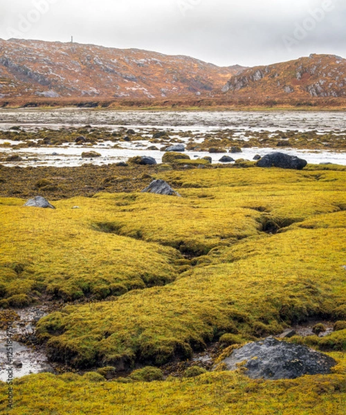 Fototapeta Low tide at Badnabay on the shore of Loch Laxford and at the NC500 in north-west Scotland.