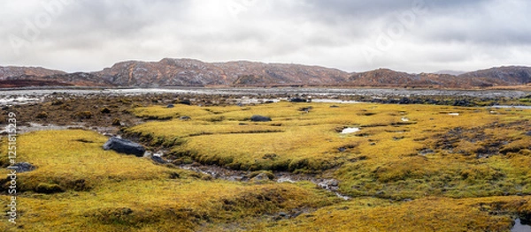 Fototapeta Low tide at Badnabay on the shore of Loch Laxford and at the NC500 in north-west Scotland.