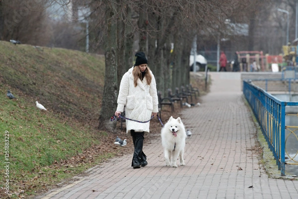 Fototapeta A woman in a cozy white coat walks her fluffy white samoyed dog along a paved pathway in a park. Trees line the path, and people are seen in the background enjoying the day