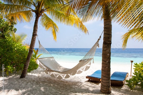 Obraz Maldive Amaca wśród palm