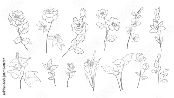 Fototapeta Dahlia, peony, rose, camellia, orchid, lily, hibiscus, forget-me-not, iris, calla. Bud, stem, leaves. line style garden flowers graphic sketches isolated set for use in design on any color background.