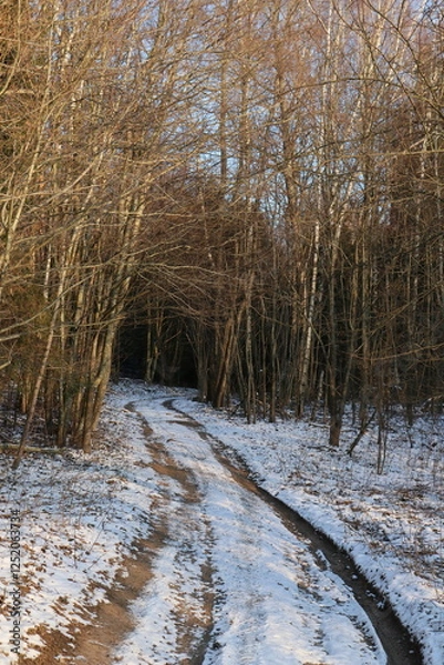 Obraz Rural road in winter