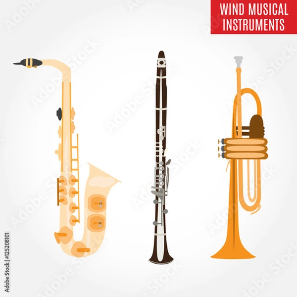 Fototapeta Set of classical wind musical instruments, vector illustration.