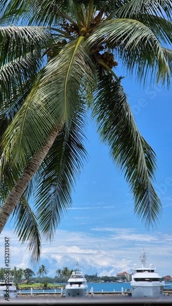 Obraz palm trees on the beach