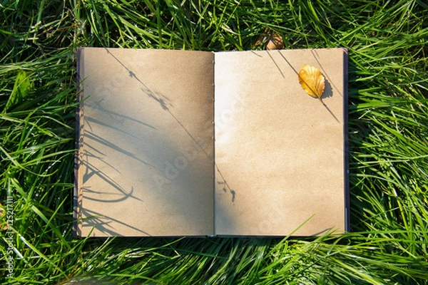 Fototapeta An open notebook book lying on green grass. Diary with blank pages yellow