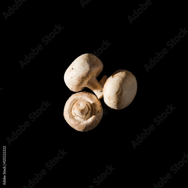 Obraz Champignons on a black background