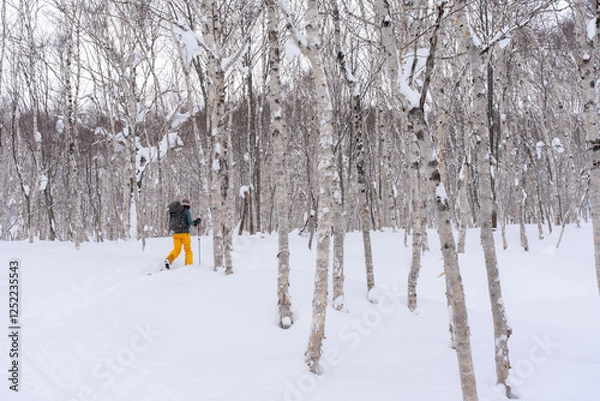 Obraz ニセコ　山スキー　登高