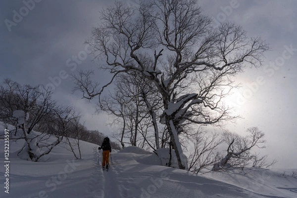 Obraz ニセコ　山スキー　登高