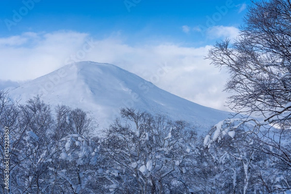 Obraz ニセコ　チセヌプリ