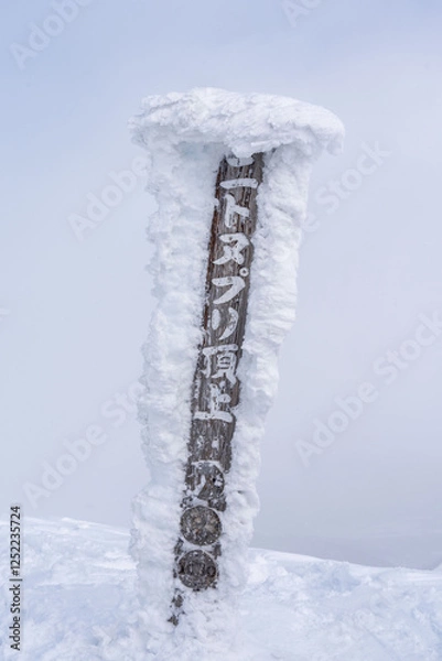 Obraz ニセコ　ニトヌプリ山頂　山スキー