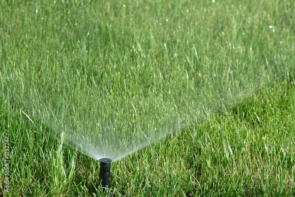 Obraz water sprinkler showering grass