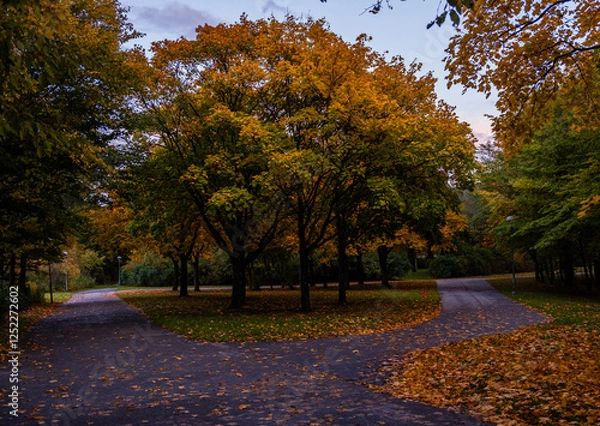 Obraz A picturesque path with stunning autumn-colored trees