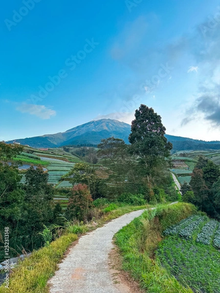 Obraz View of vegetable plantations on the slopes of Mount Sumbing with a cloudy blue sky