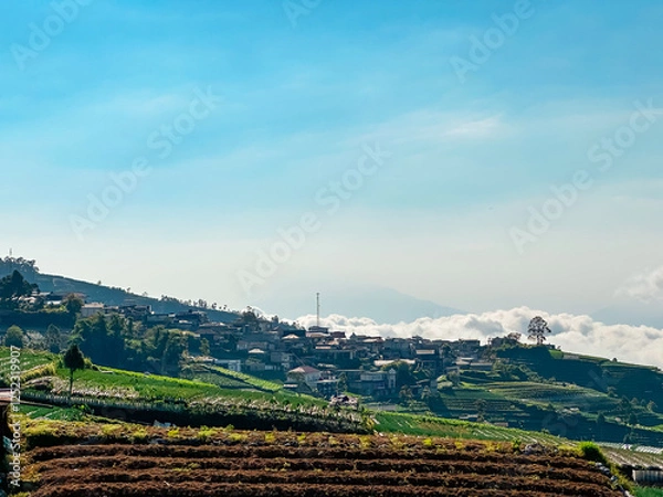 Obraz Rice terraces filled with water and a background of mountains and blue sky