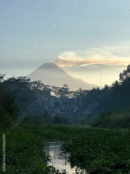 Obraz a stream filled with aquatic plants with a mountain background in the morning