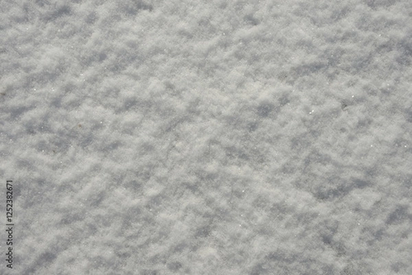 Fototapeta 雪肌　雪の模様