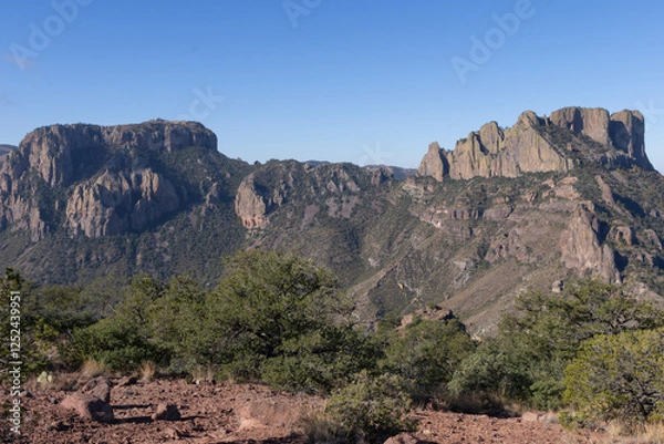 Obraz A scenic view of Chisos Basin in Big Bend National Park, Texas.
