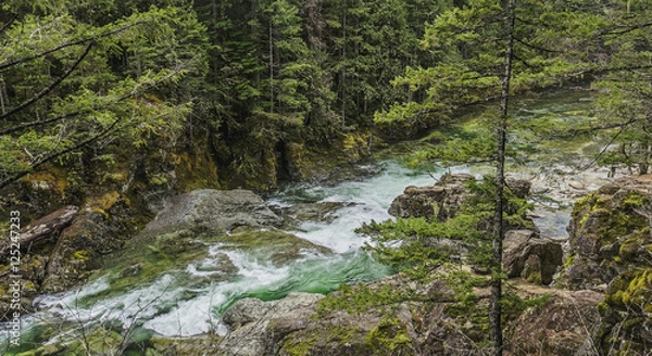 Obraz River in Hiding 