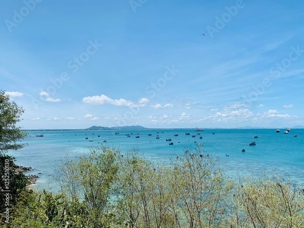 Fototapeta tropical beach with palm trees