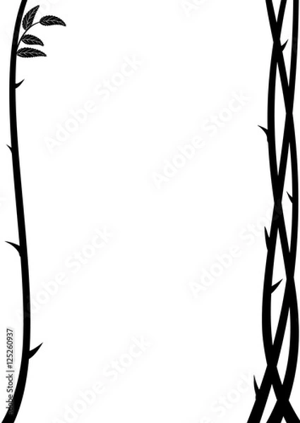 Obraz gałąź róży