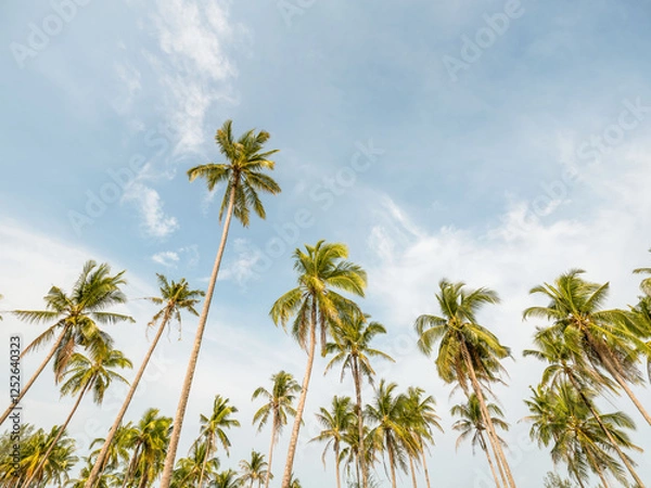 Fototapeta Coconut palm tree at beach with cloud on sky in summer - vintage color tone.