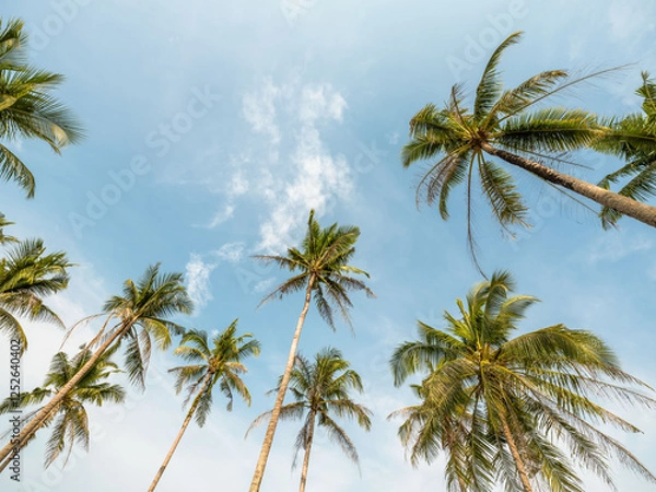 Fototapeta Coconut palm tree at beach with cloud on sky in summer - vintage color tone.