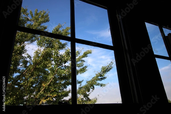 Fototapeta View from the window after the rain / 雨上がりの窓から