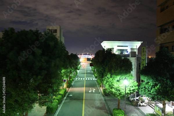 Fototapeta Road at night / 夜の道