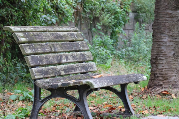 Fototapeta Park bench / 公園のベンチ