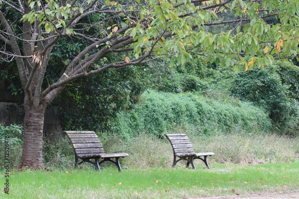 Fototapeta Park bench / 公園のベンチ