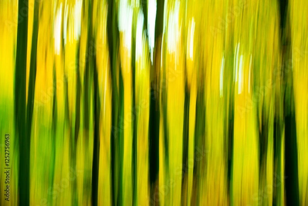 Obraz Rudeskov forest in denmark