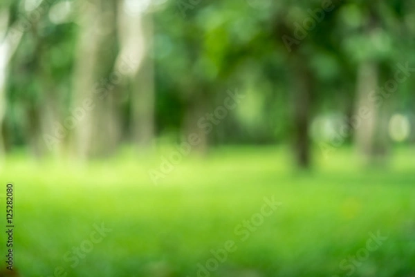 Obraz Abstract nature blurred background