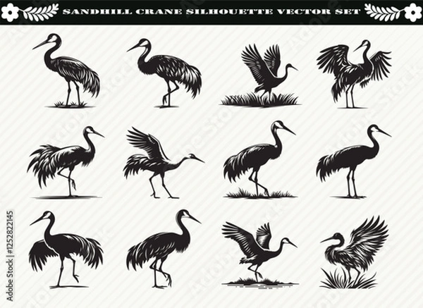 Obraz Sandhill Crane Silhouette Vector Set: 12 Designs