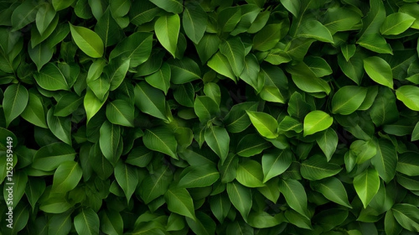 Fototapeta Sophisticated green summer foliage in a seamless design with golden metallic accents, perfect for a luxurious interior setting with a fresh and vibrant feel.