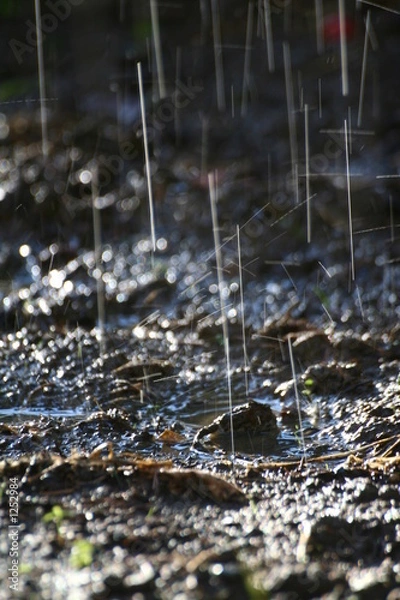 Obraz pluie