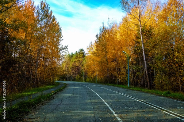 Fototapeta Road for running with nobody in autumn park