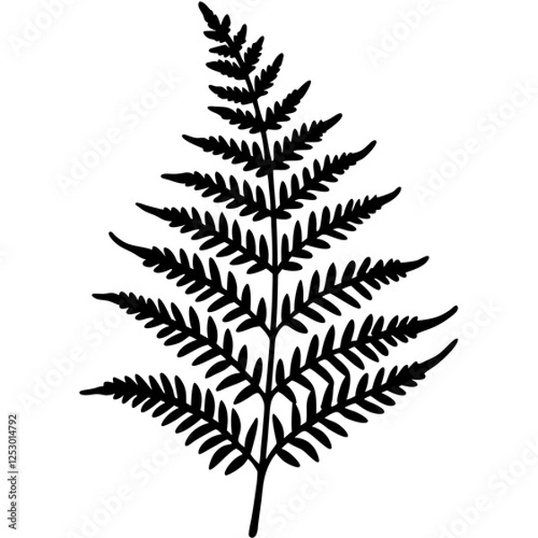 Obraz Artistic Fern Leaf Outlines in Vector